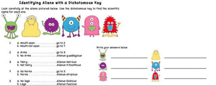 Identifying aliens with a dichotomous key