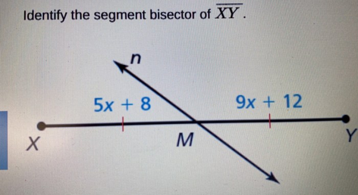 Identify the segment bisector of xy