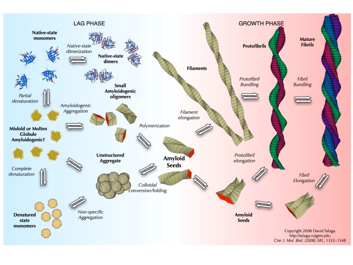 Peptides and proteins report sheet