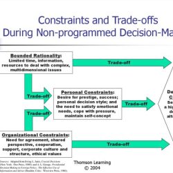 Programmed and nonprogrammed decisions examples